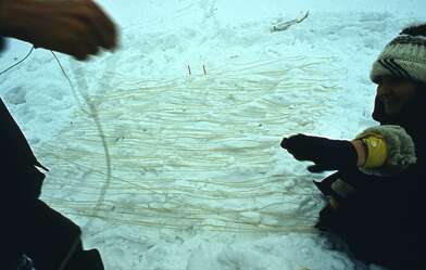 Collective action Sound Perspectives. Photo - 9