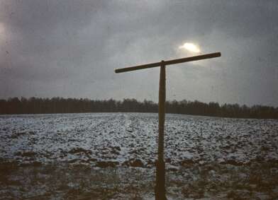 Акция КД Ворот. Фотография - 36