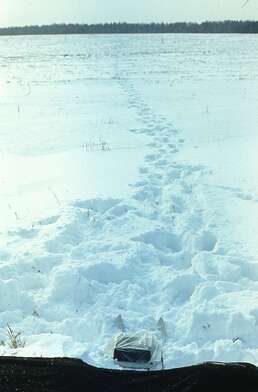 Collective action Sound Perspectives. Photo - 33