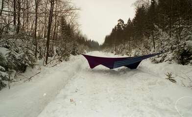 Collective action 625-520. Photo - 70