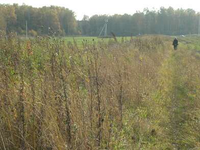 Акция КД Стенд-газета. Фотография - 31