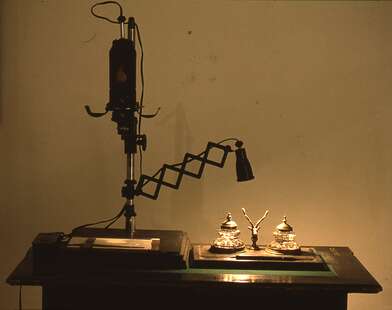 Igor Makarevich. Artwork Borisov&#039;s Enlarger