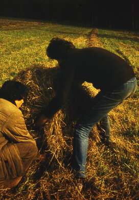 Акция КД М. Фотография - 7