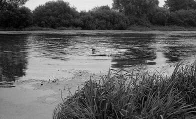 Collective action Second Picture. Photo - 31