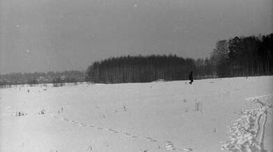 Collective action Observing the Waterfall. Photo - 25