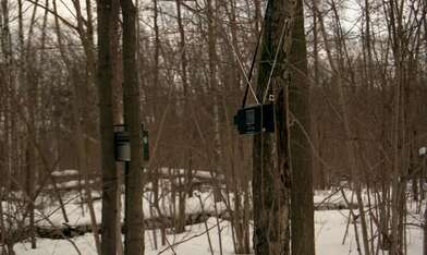 Collective action 83. Photo - 33