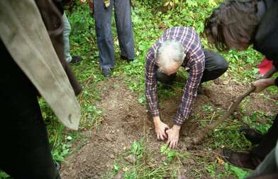 Collective action The Sack. Photo - 51