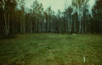 Collective action Place of Action. Photo - 15