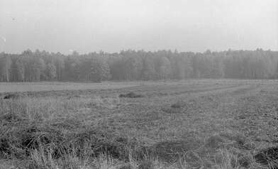 Акция КД М. Фотография - 72