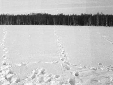 Акция КД 10 Появлений. Фотография - 140