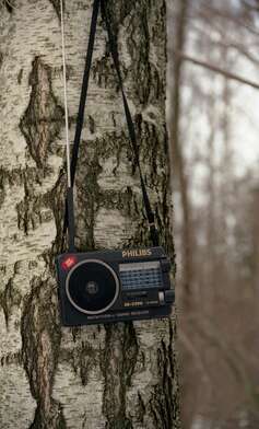 Collective action 83. Photo - 54