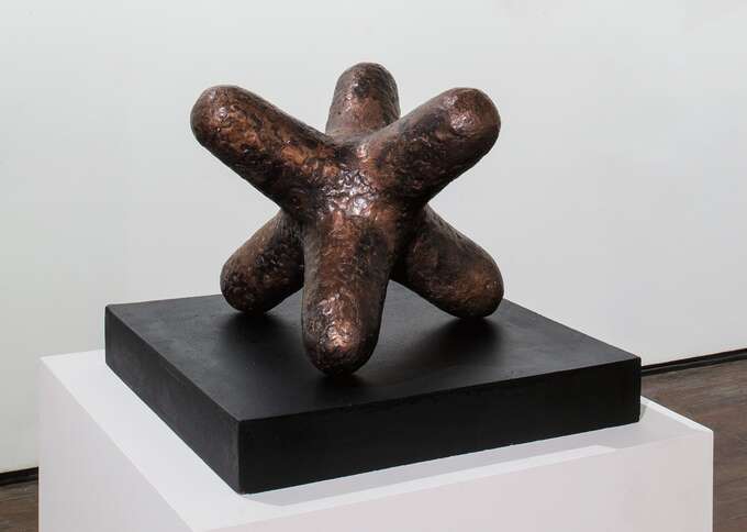 Елена Елагина. Специальный объект