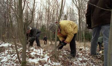 Collective action On the Clearing. Photo - 14
