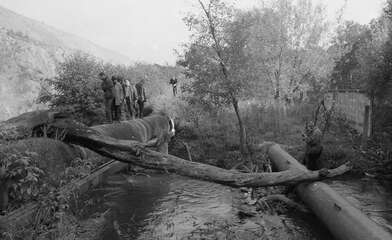 Collective action Likhoborka. Photo - 26