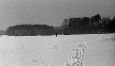 Collective action Observing the Waterfall. Photo - 24