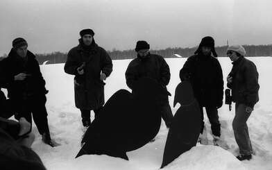 Collective action Negatives. Photo - 37