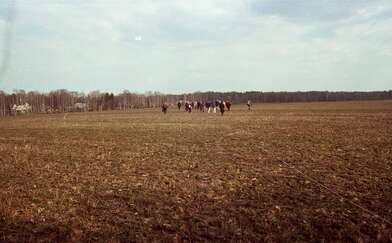 Collective action 14:07-15:13 (Watches). Photo - 40