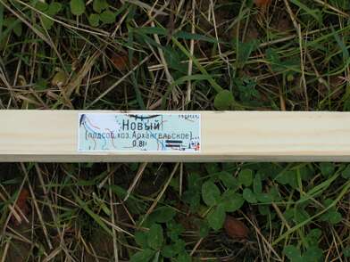 Акция КД Деревни. Фотография - 55