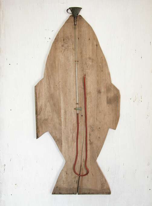 Игорь Макаревич, Елена Елагина. Рыба