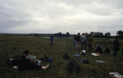 Collective action Second Picture. Photo - 16