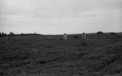 Collective action Second Picture. Photo - 34