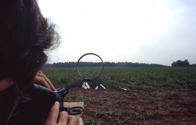 Collective action Moving of the Audience. Photo - 9