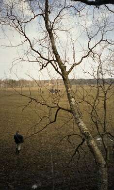 Collective action 14:07-15:13 (Watches). Photo - 27