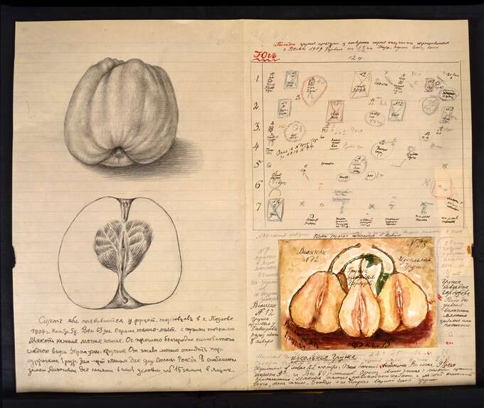 Игорь Макаревич. Девушки Мичурина