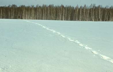 Акция КД 10 Появлений. Фотография - 52