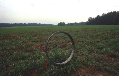 Collective action Moving of the Audience. Photo - 6