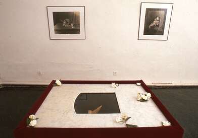 Homo Lignum. Photo - 21