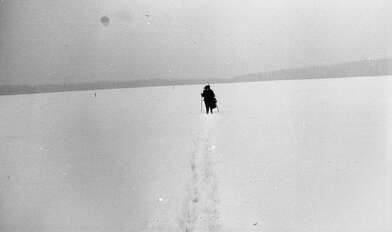 Collective action Sound Perspectives. Photo - 78