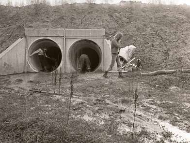 Акция КД Встреча. Фотография - 38