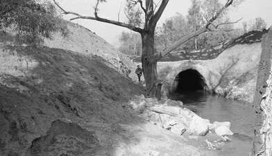 Collective action Likhoborka. Photo - 20