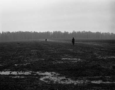 Collective action S. Romashko. Photo - 17