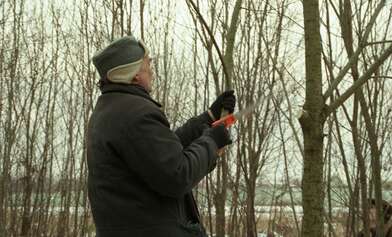 Collective action On the Clearing. Photo - 4