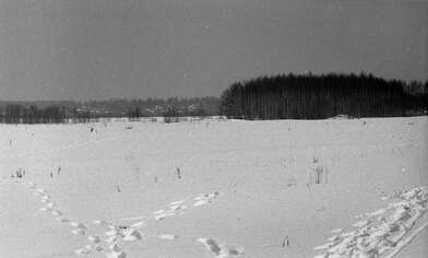 Collective action Observing the Waterfall. Photo - 13