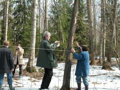 Collective action 14:07-15:13 (Watches). Photo - 53