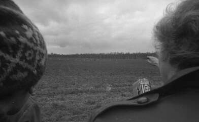 Collective action Image of a Rhombus. Photo - 4