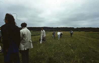 Collective action Second Picture. Photo - 2