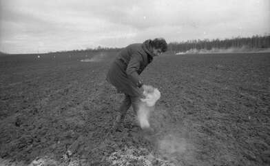 Collective action Image of a Rhombus. Photo - 12