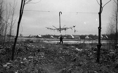 Collective action On the Clearing. Photo - 51