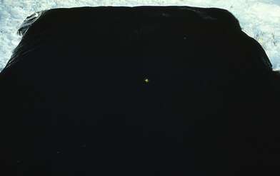 Collective action Sound Perspectives. Photo - 32