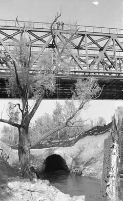 Collective action Likhoborka. Photo - 30