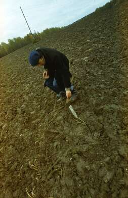 Collective action Place of Action. Photo - 25