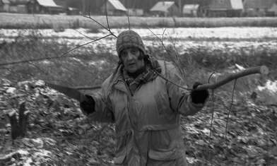 Collective action On the Clearing. Photo - 43