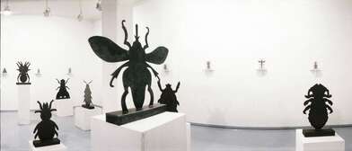 Exhibition Iron Fly. Photo - 1