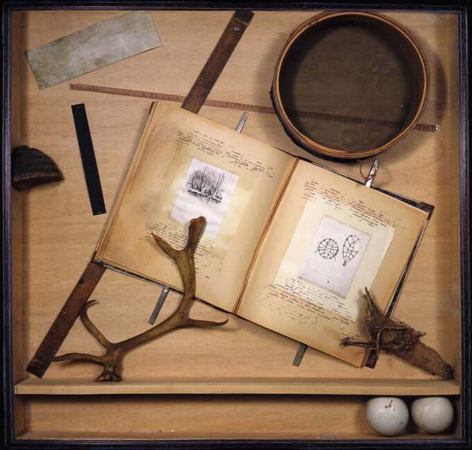 Игорь Макаревич. Книга снега