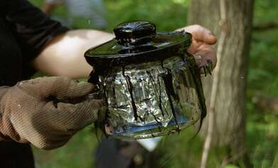 Collective action Library. Photo - 29