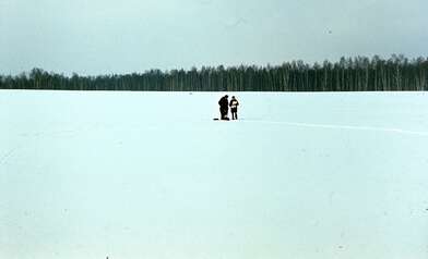 Collective action Description of Action. Photo - 29